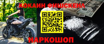 СК Кингисепп