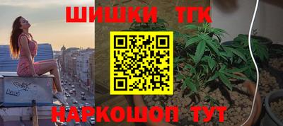 СК Кингисепп