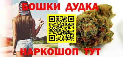 СК Кингисепп