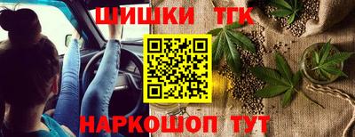 СК Кингисепп