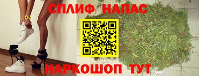СК Кингисепп