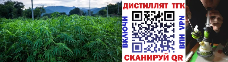 kraken как зайти  Кунгур  ТГК концентрат 