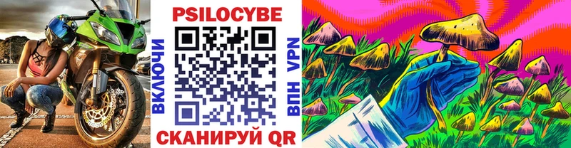 Галлюциногенные грибы Cubensis  Кунгур 
