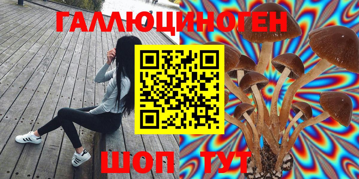 Псилоцибиновые грибы Psilocybe Кунгур