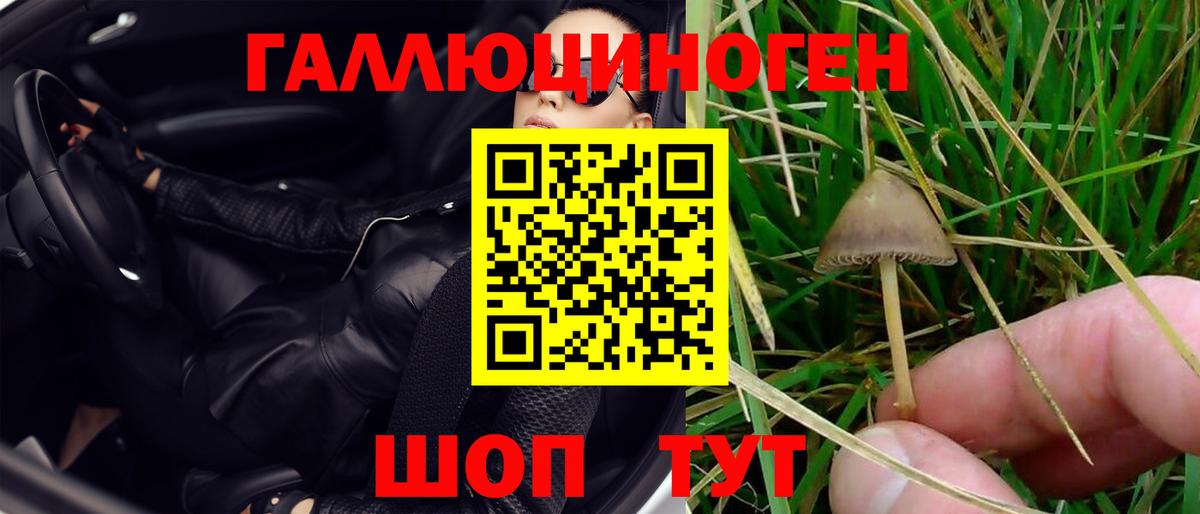 Кунгур  Галлюциногенные грибы Cubensis  Вход с VPN  Псилоцибиновые грибы MAGIC MUSHROOMS 